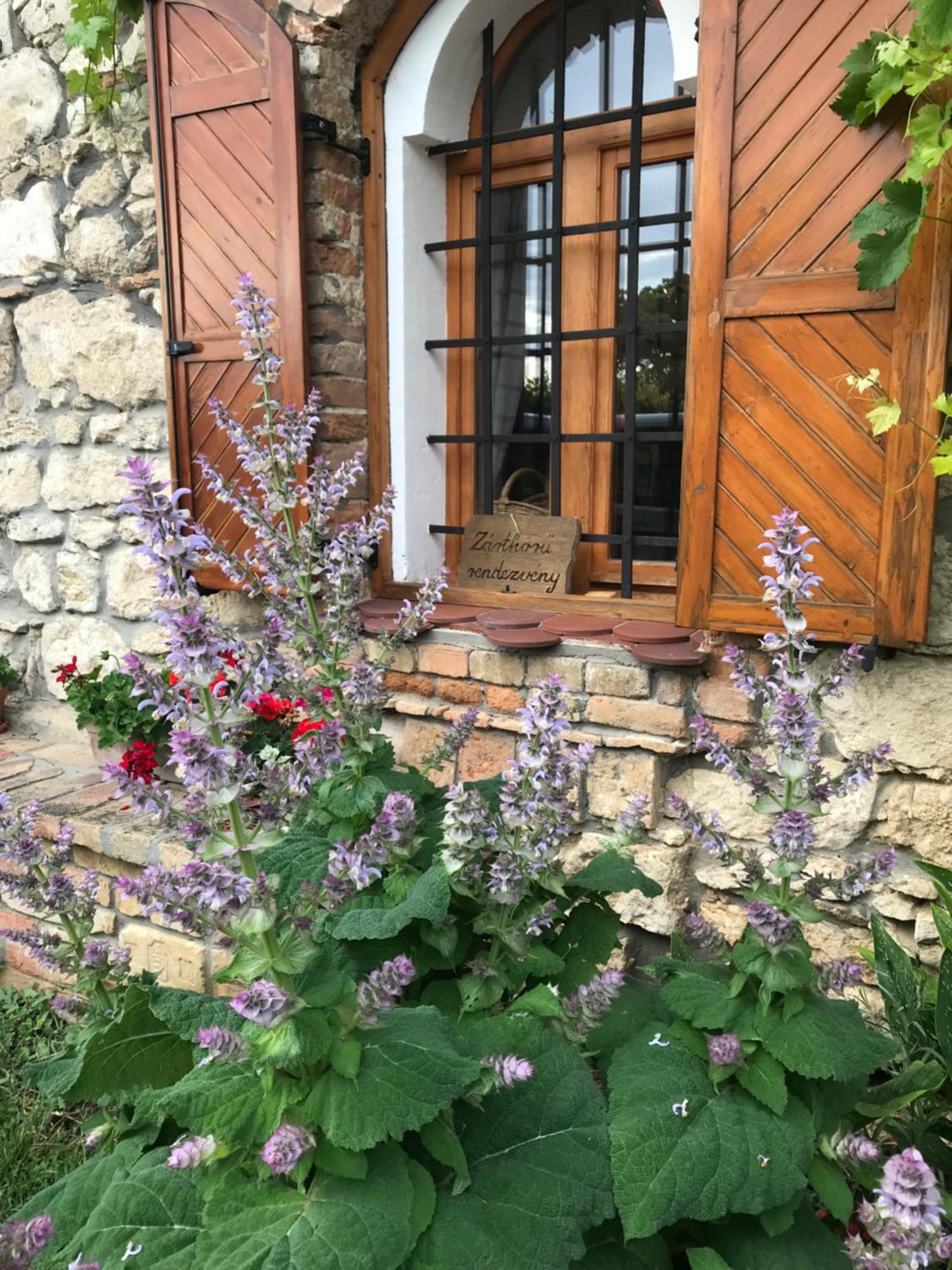 Cifrapince Es Vendeghaz Villa Tordas Exterior foto
